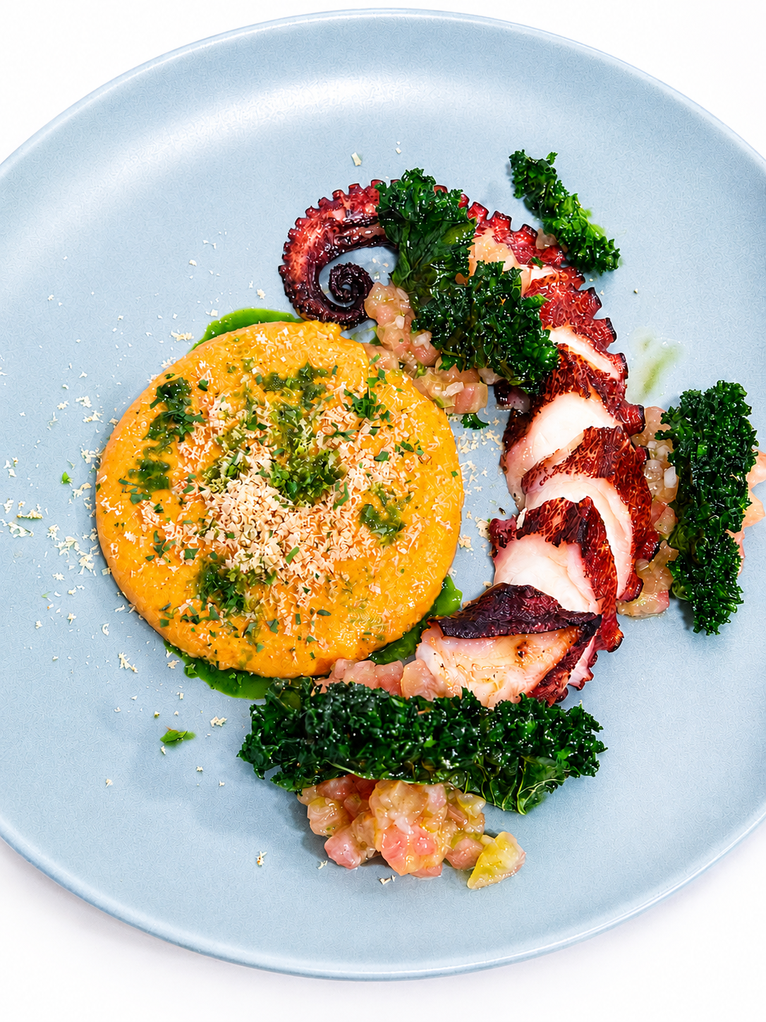 Brasmar Octopus