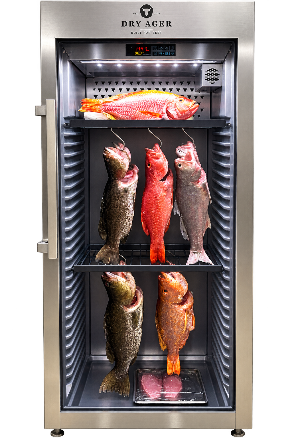 Dry-aging the Prime Fish